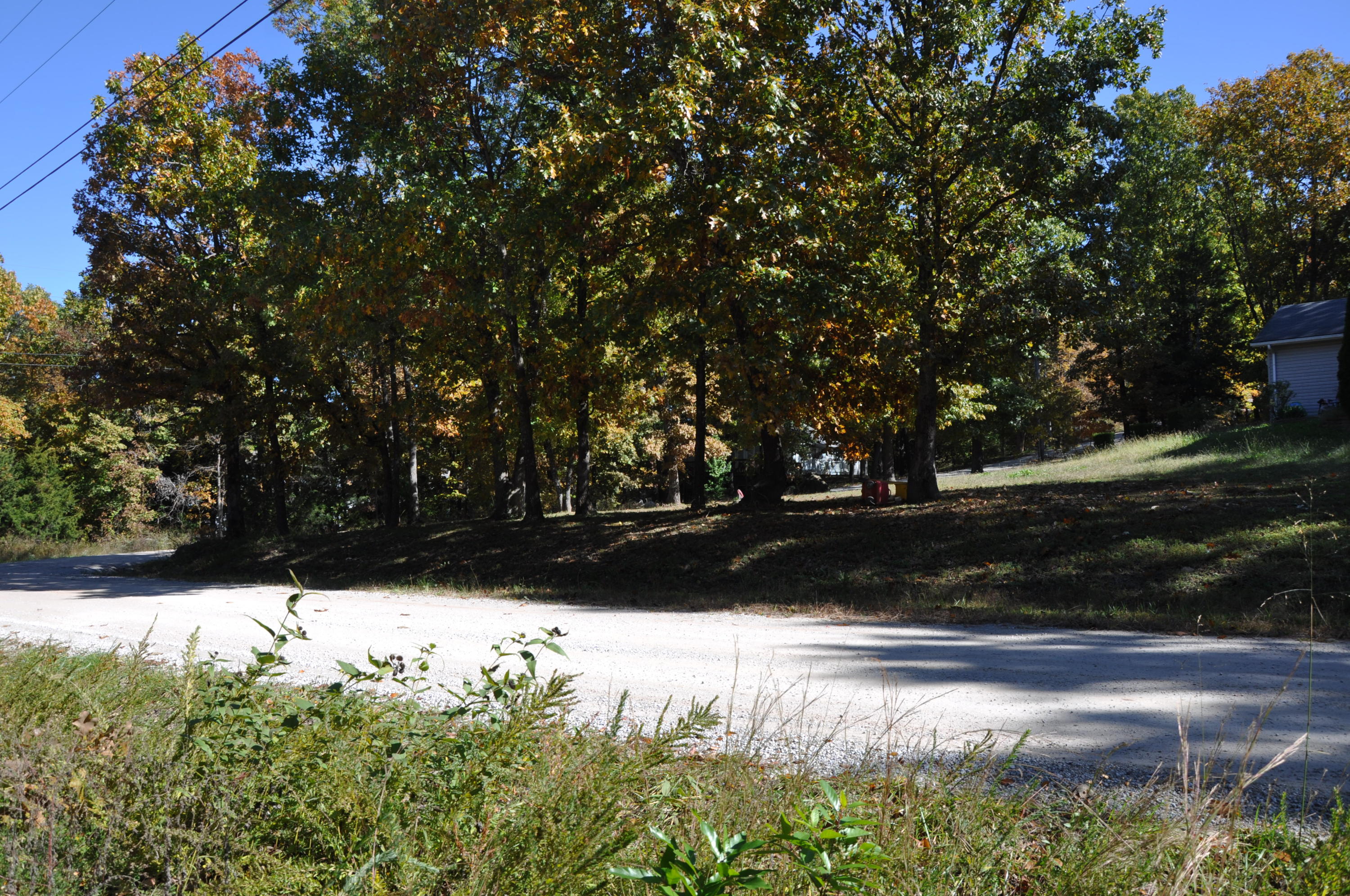 Tbd Peach Lane Ridgedale, MO 65739 - Photo 1 of 1 DSC_0153