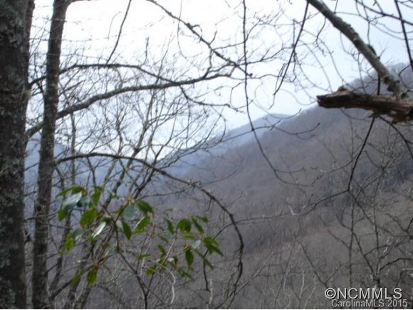 3.8-acres; Bent Tree Road Maggie Valley, NC 28751 - Photo 2 of 10 a backyard of a house with lots of green space