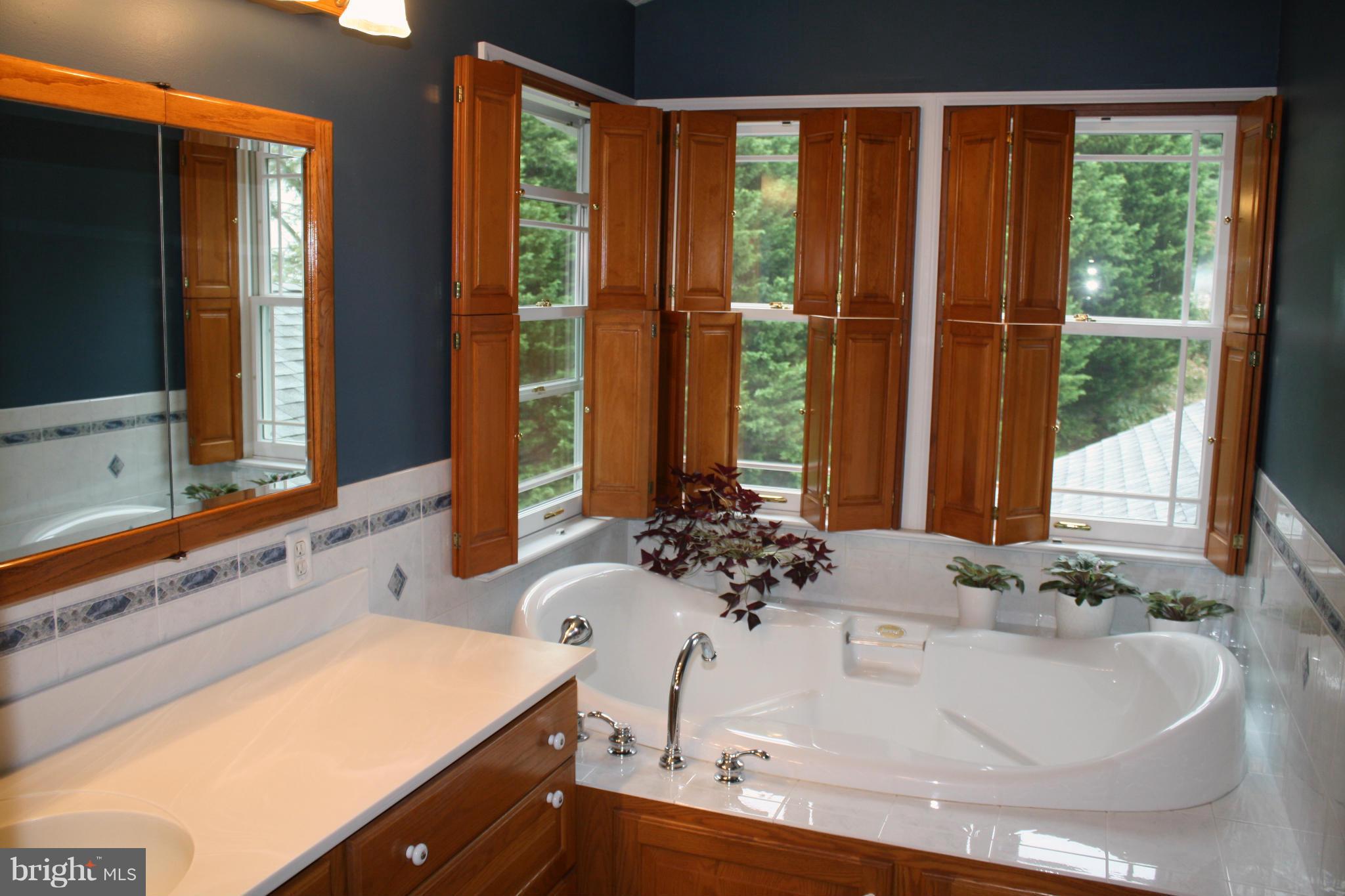 933 Metfield Road Baltimore, MD 21286 - Photo 18 of 30 Bath (Master)