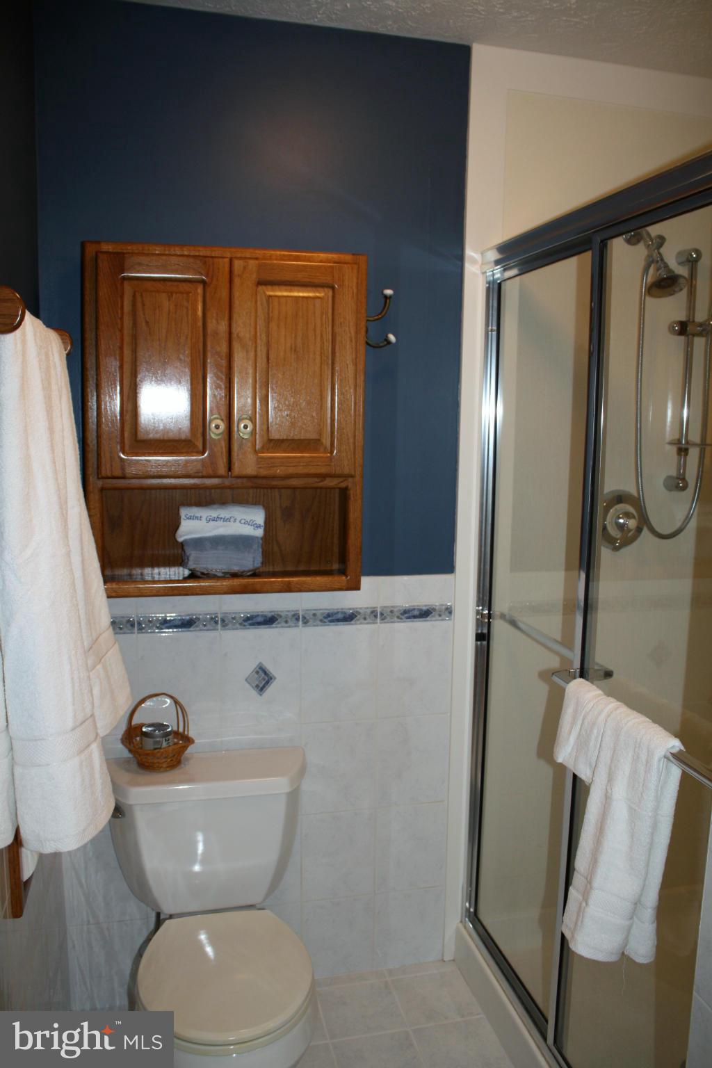 933 Metfield Road Baltimore, MD 21286 - Photo 19 of 30 Bath (Master)