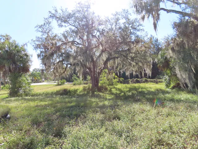 a view of outdoor space with trees all around