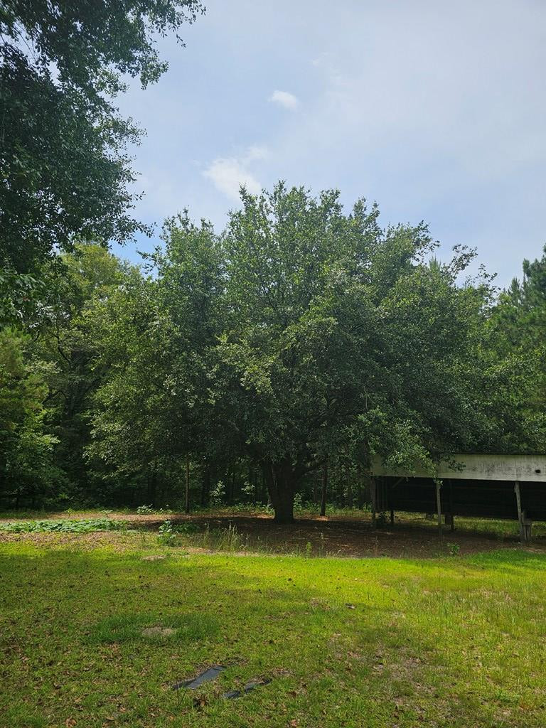 14196 Raccoon Road Manning, SC 29102 - Photo 16 of 39 Gallery Image 16