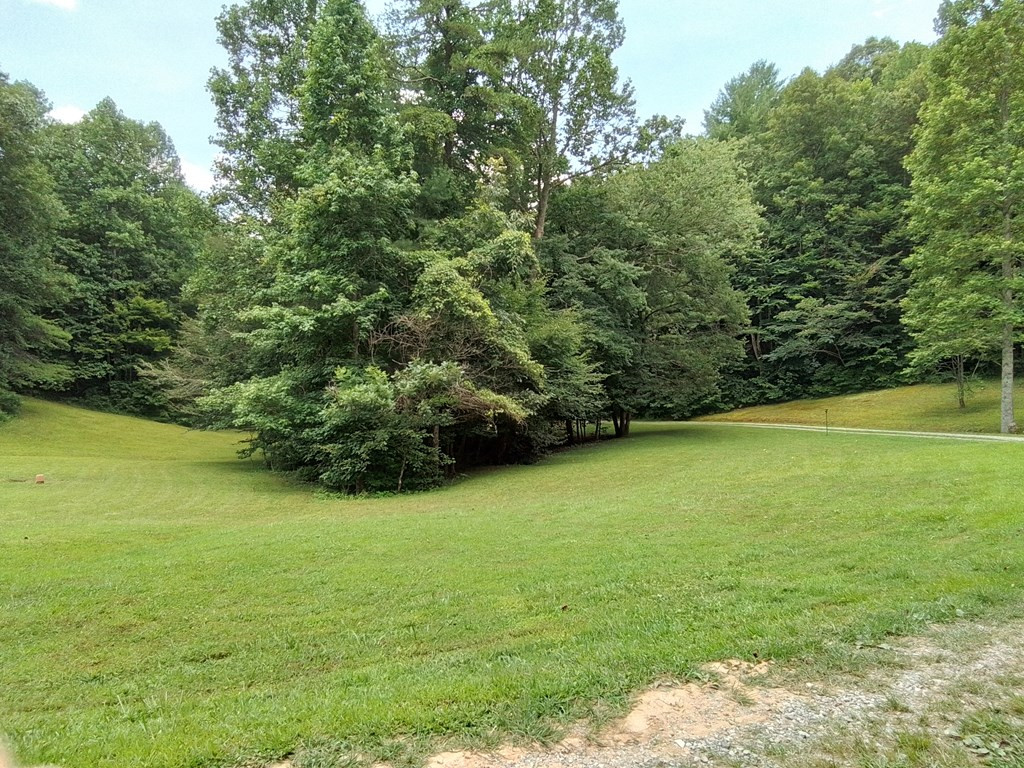 Gallery Image 6