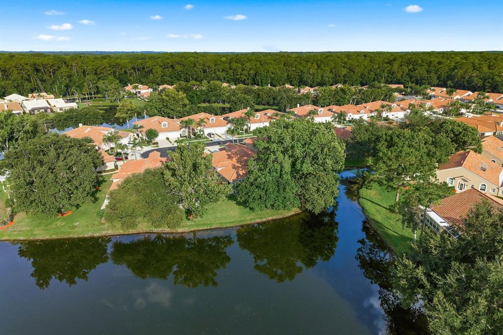 3857 Timber Ridge Court Palm Harbor, FL 34685 - Photo 56 of 56