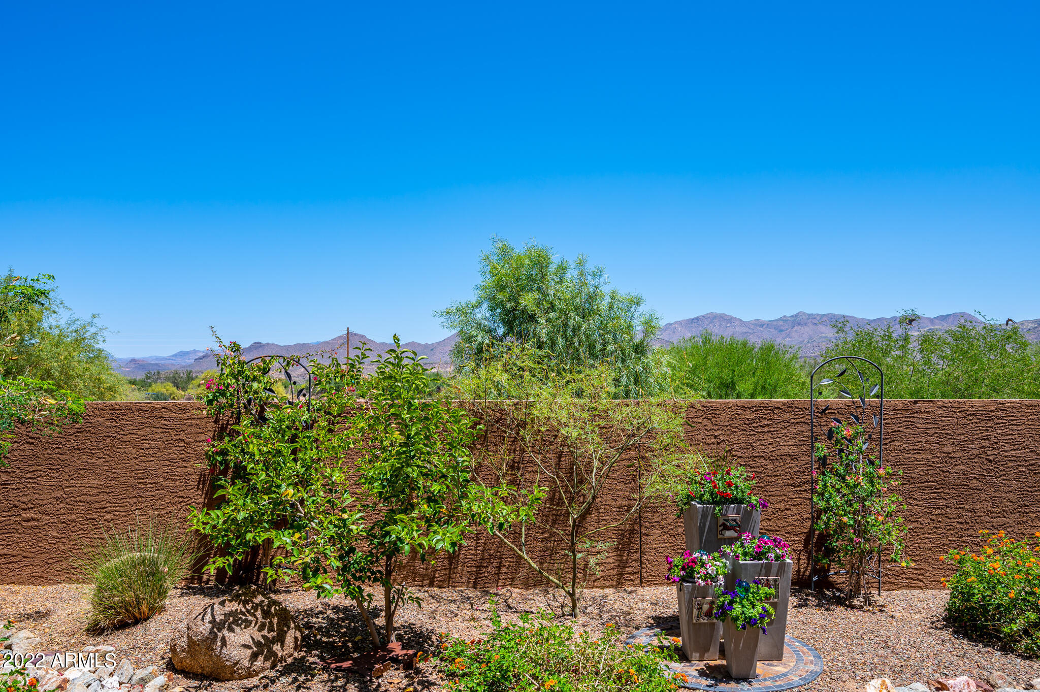18814 East Blue Sky Drive Rio Verde, AZ 85263 - Photo 25 of 35 Backyard