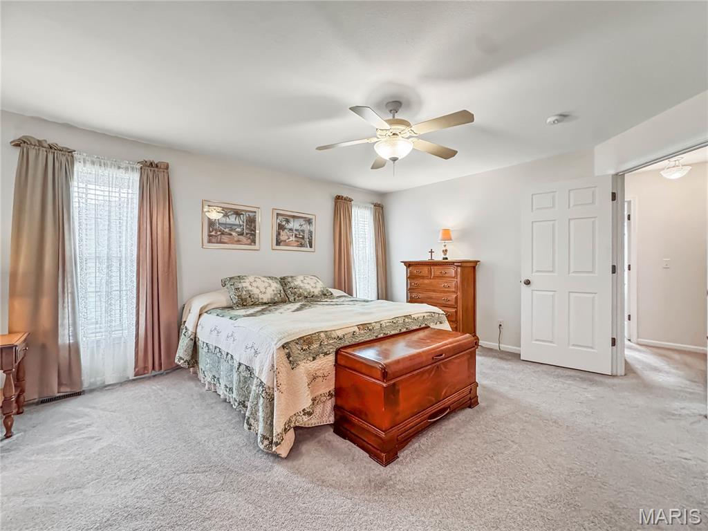 608 Katie Drive Waterloo, IL 62298 - Photo 25 of 41