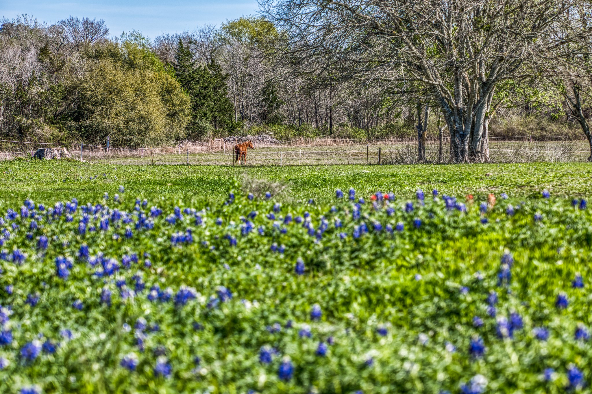 6510 Ganske Road Burton, TX 77835 - Photo 46 of 48 Gallery Image 46