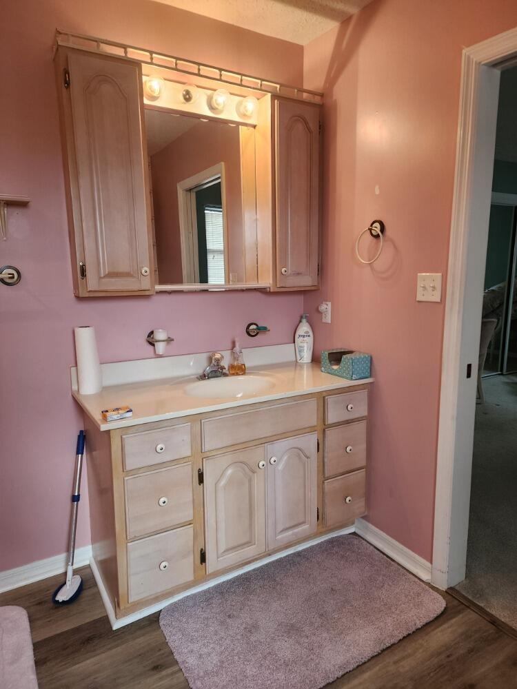 1177 Lisa Lane Okeechobee, FL 34974 - Photo 10 of 22 a bathroom with a sink vanity and mirror