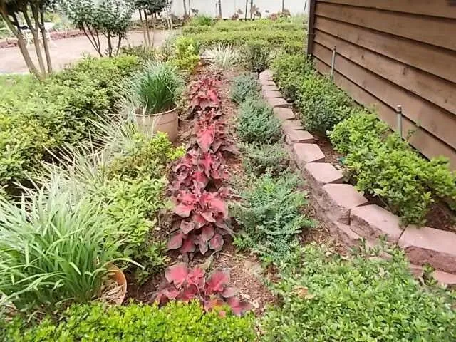 a view of a garden with flowers