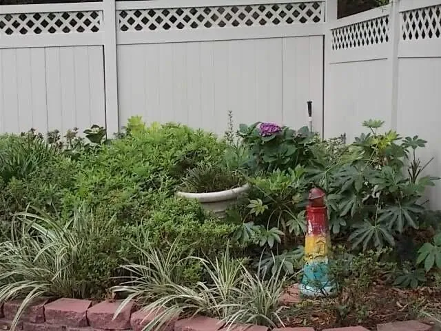 an outdoor space with potted plants