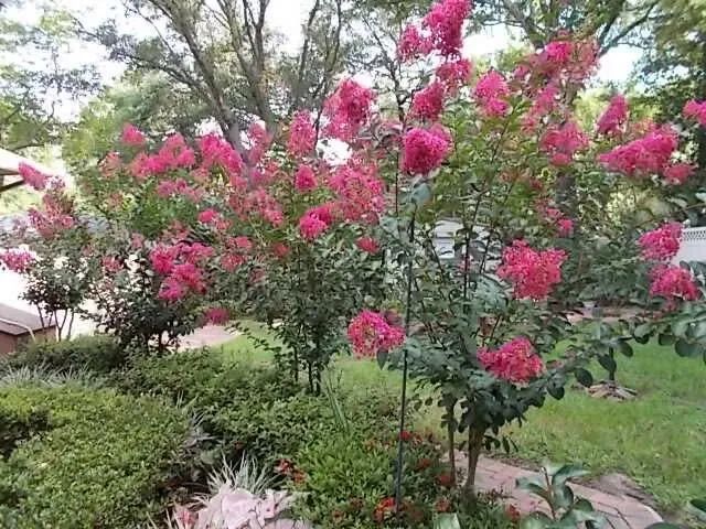 $399,700 | 137 Woodbine Circle, Fort Walton Beach, FL 32548