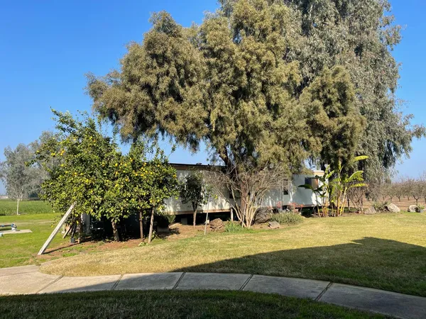 a view of a yard with a slide