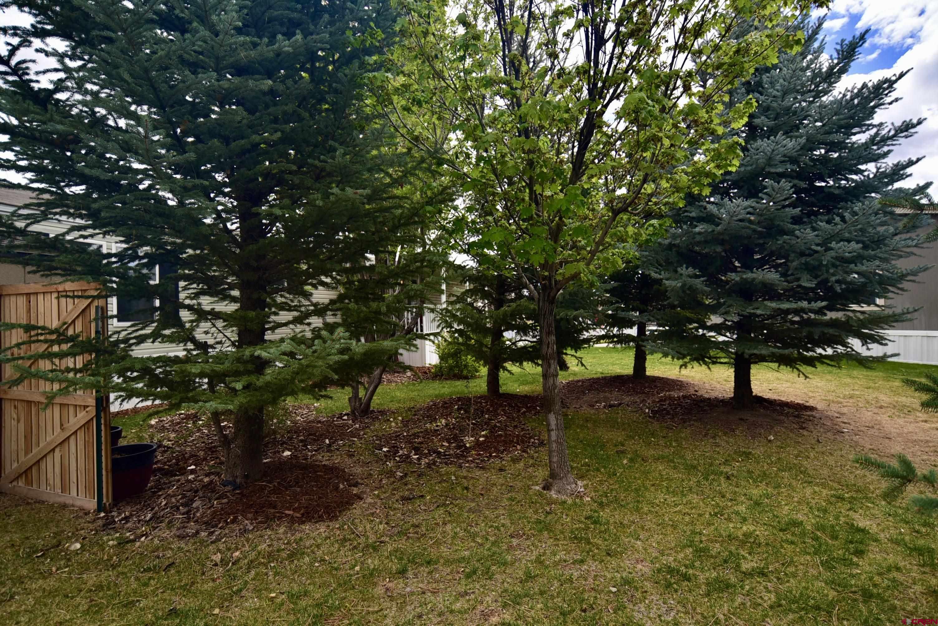 901 6530 Road, Unit 1212 Montrose, CO 81401 - Photo 11 of 36