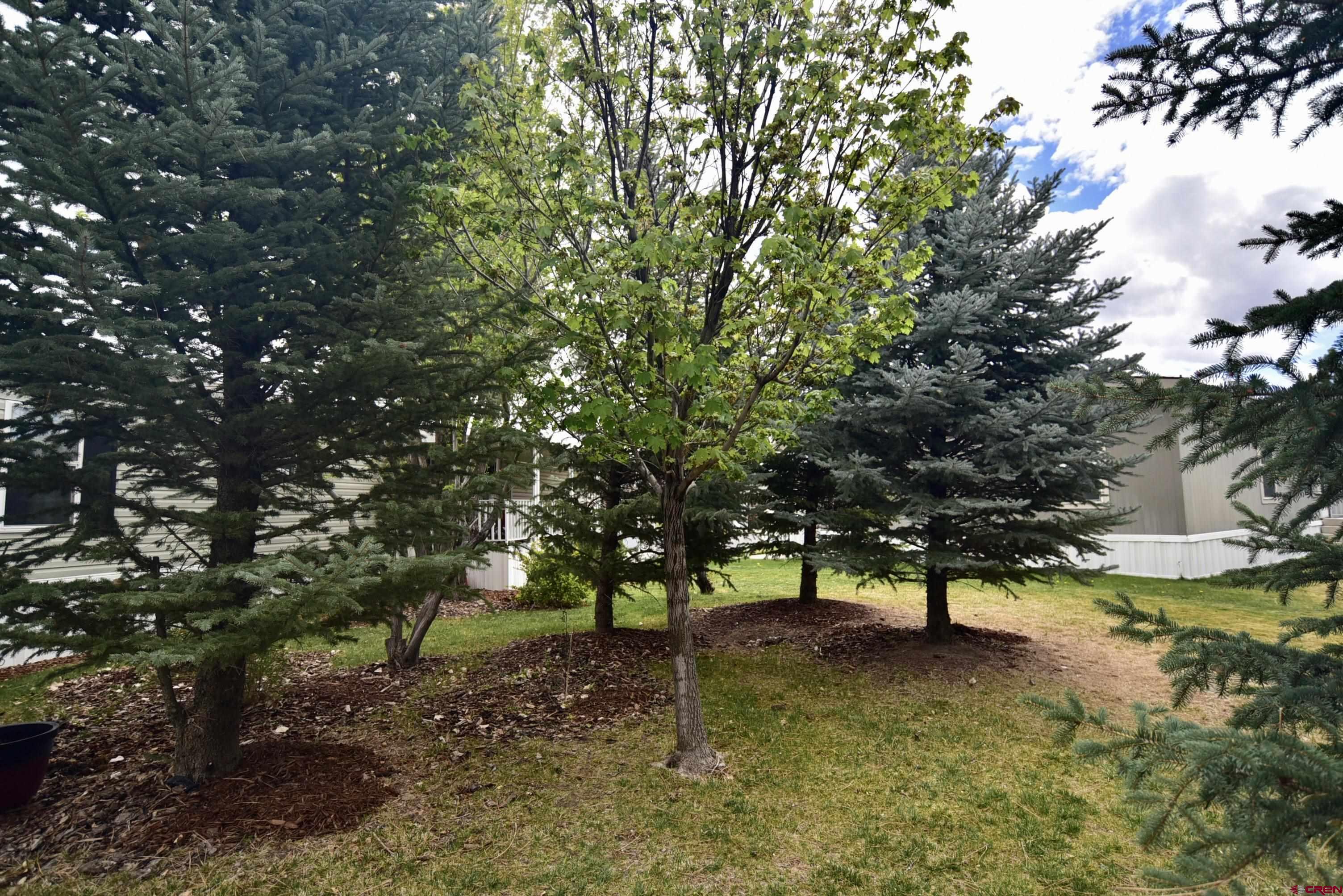 901 6530 Road, Unit 1212 Montrose, CO 81401 - Photo 12 of 36