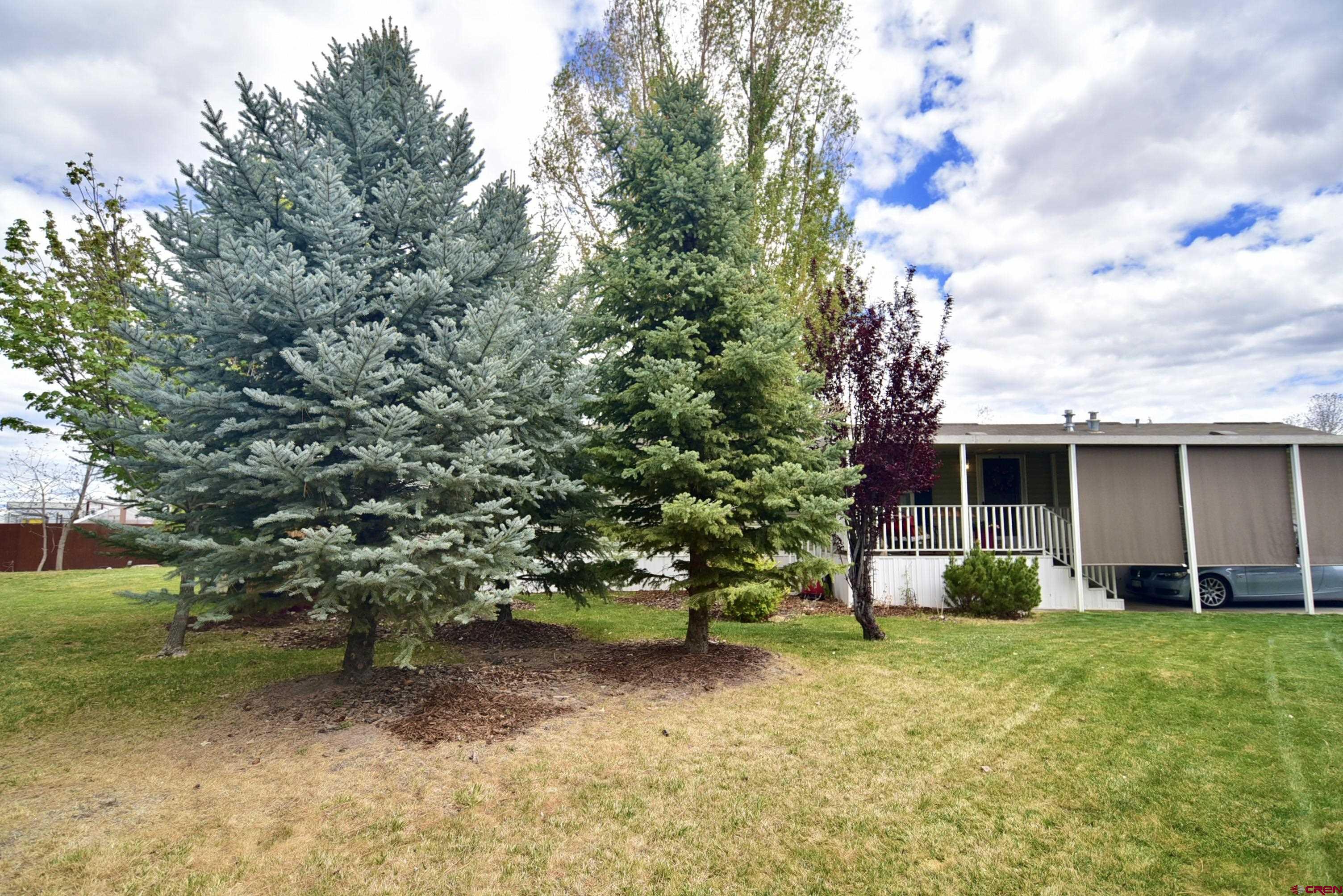 901 6530 Road, Unit 1212 Montrose, CO 81401 - Photo 6 of 36