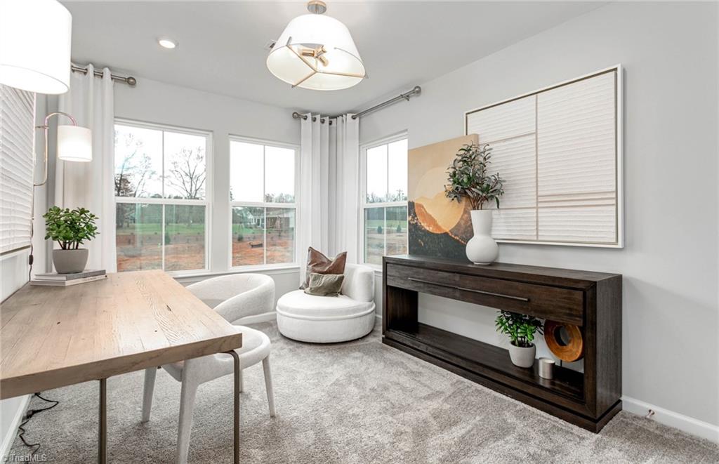 861 Falls Grove Trail High Point, NC 27265 - Photo 17 of 19