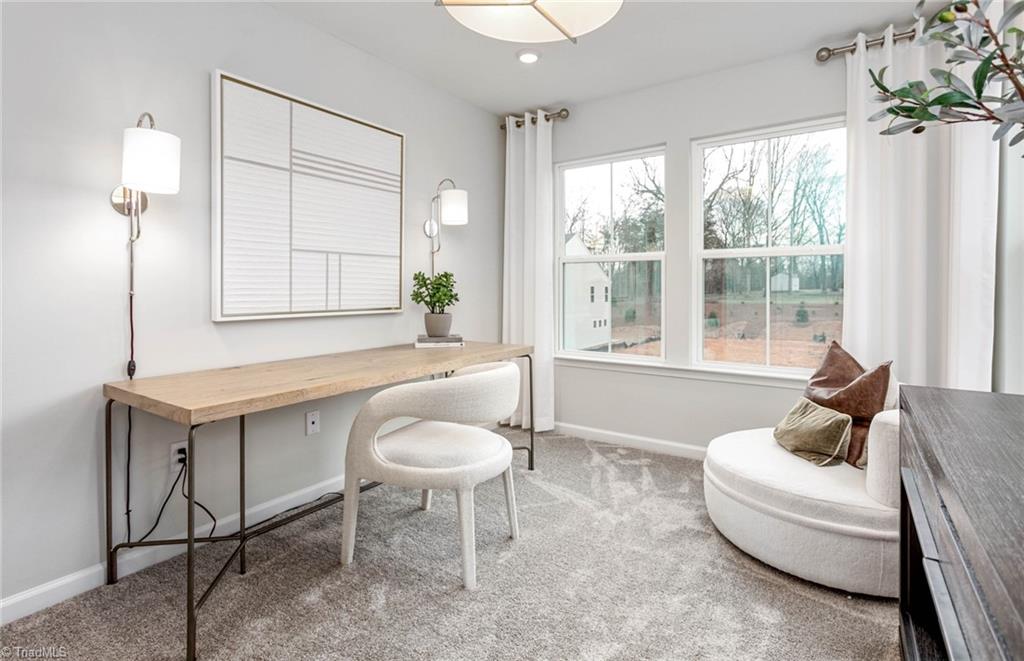 861 Falls Grove Trail High Point, NC 27265 - Photo 18 of 19