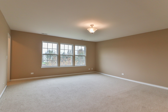 299 Monument Road Elgin, IL 60124 - Photo 18 of 27