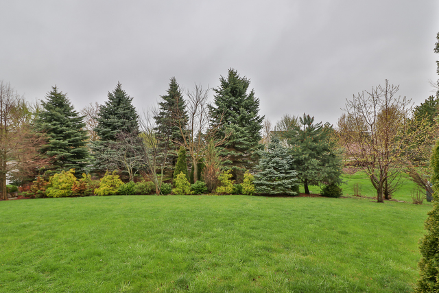 299 Monument Road Elgin, IL 60124 - Photo 25 of 27