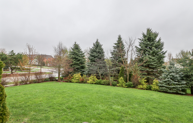 299 Monument Road Elgin, IL 60124 - Photo 26 of 27