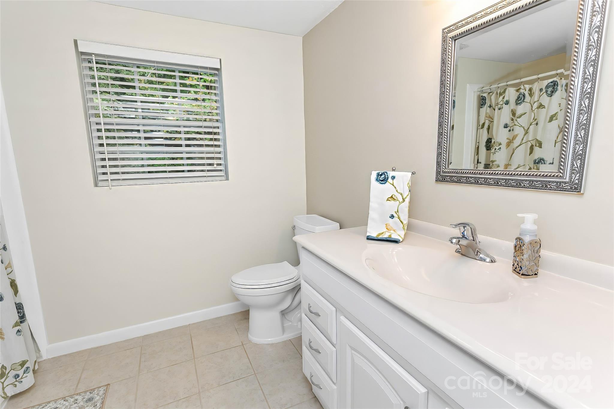 1501 Hayes Road Columbus, NC 28722 - Photo 15 of 48 Gallery Image 15