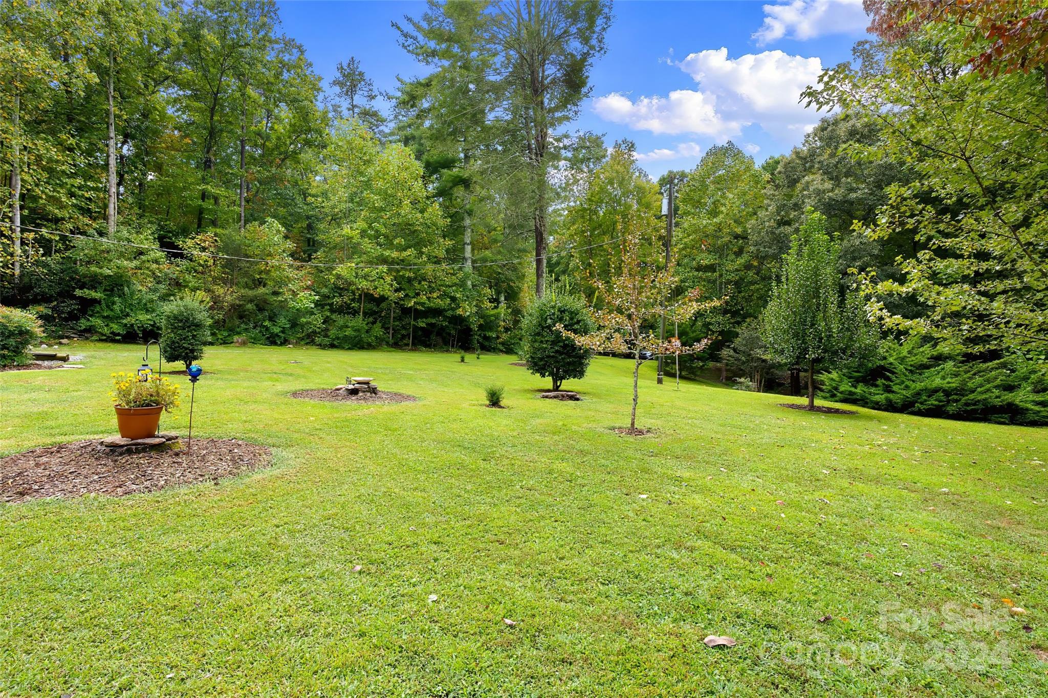 1501 Hayes Road Columbus, NC 28722 - Photo 24 of 48 Gallery Image 24