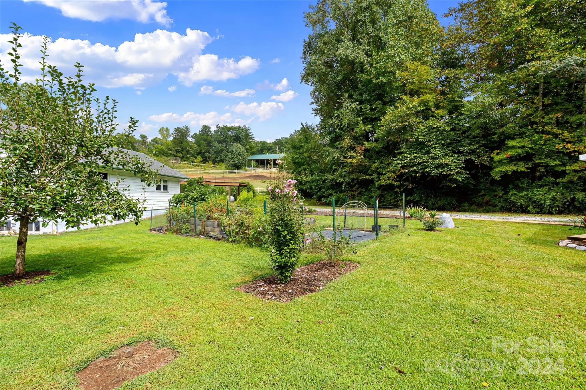 1501 Hayes Road Columbus, NC 28722 - Photo 46 of 48 Gallery Image 46