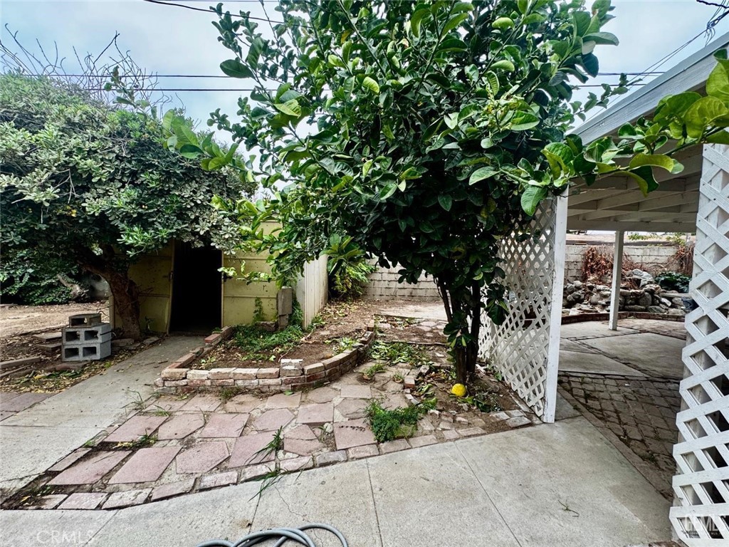 9 Dunlap Street Bakersfield, CA 93309 - Photo 22 of 22 a view of a backyard of the house
