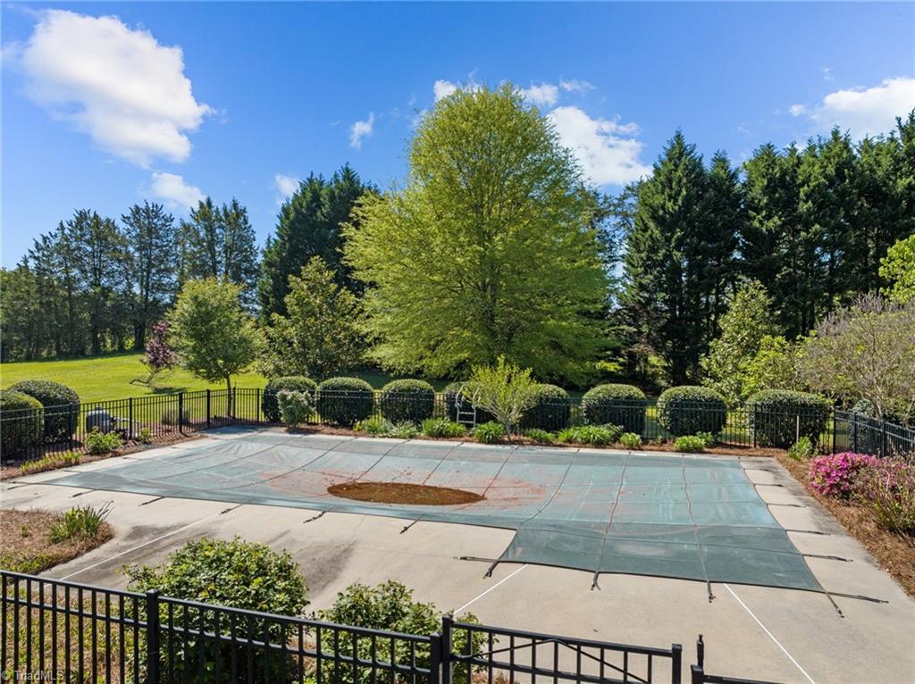 130 Deer Path Summerfield, NC 27358 - Photo 44 of 50 Large salt water pool.
