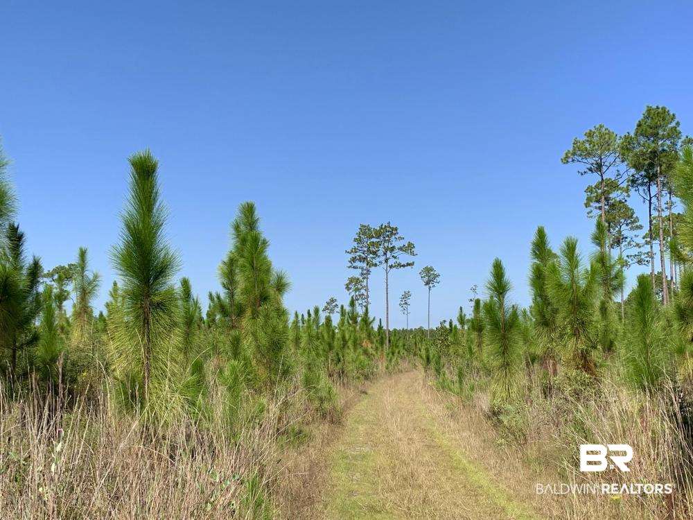 0 Three 3 Rivers Road Seminole, AL 36574 - Photo 21 of 27