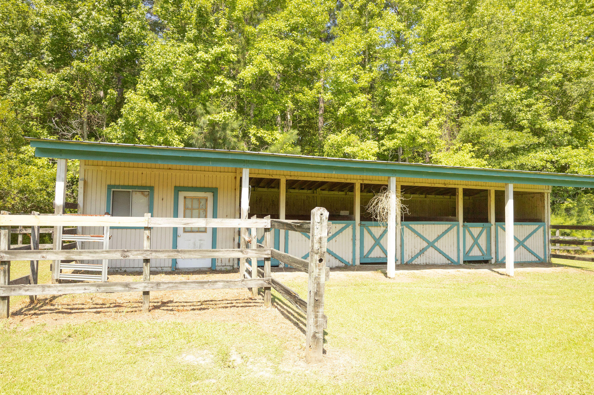 1305 Gibson Road Islandton, SC 29929 - Photo 6 of 37 3T6A2066