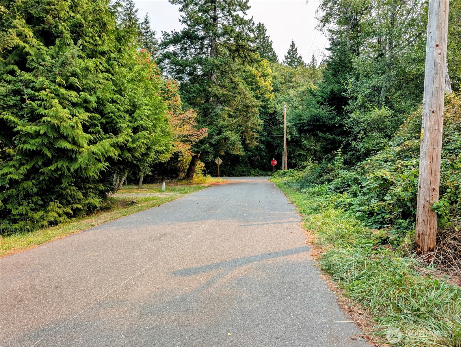 8 Heather Way Point Roberts, WA 98281 - Photo 7 of 15 Gallery Image 7