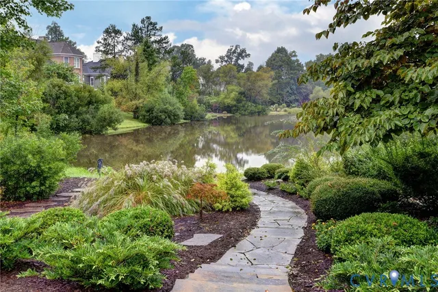 a body of water with a tree in the background