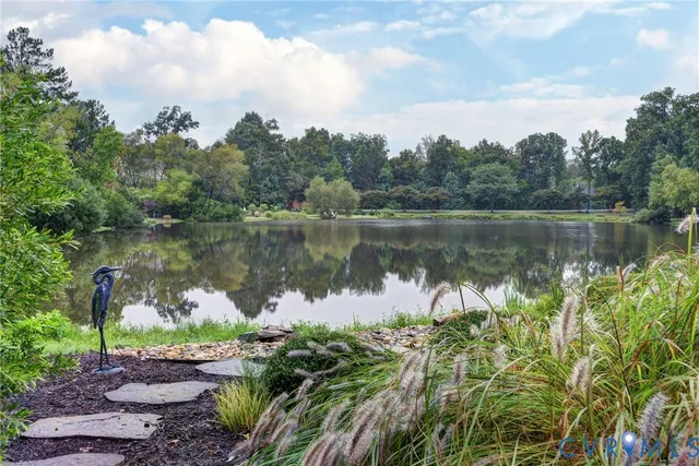 a view of a garden with large trees