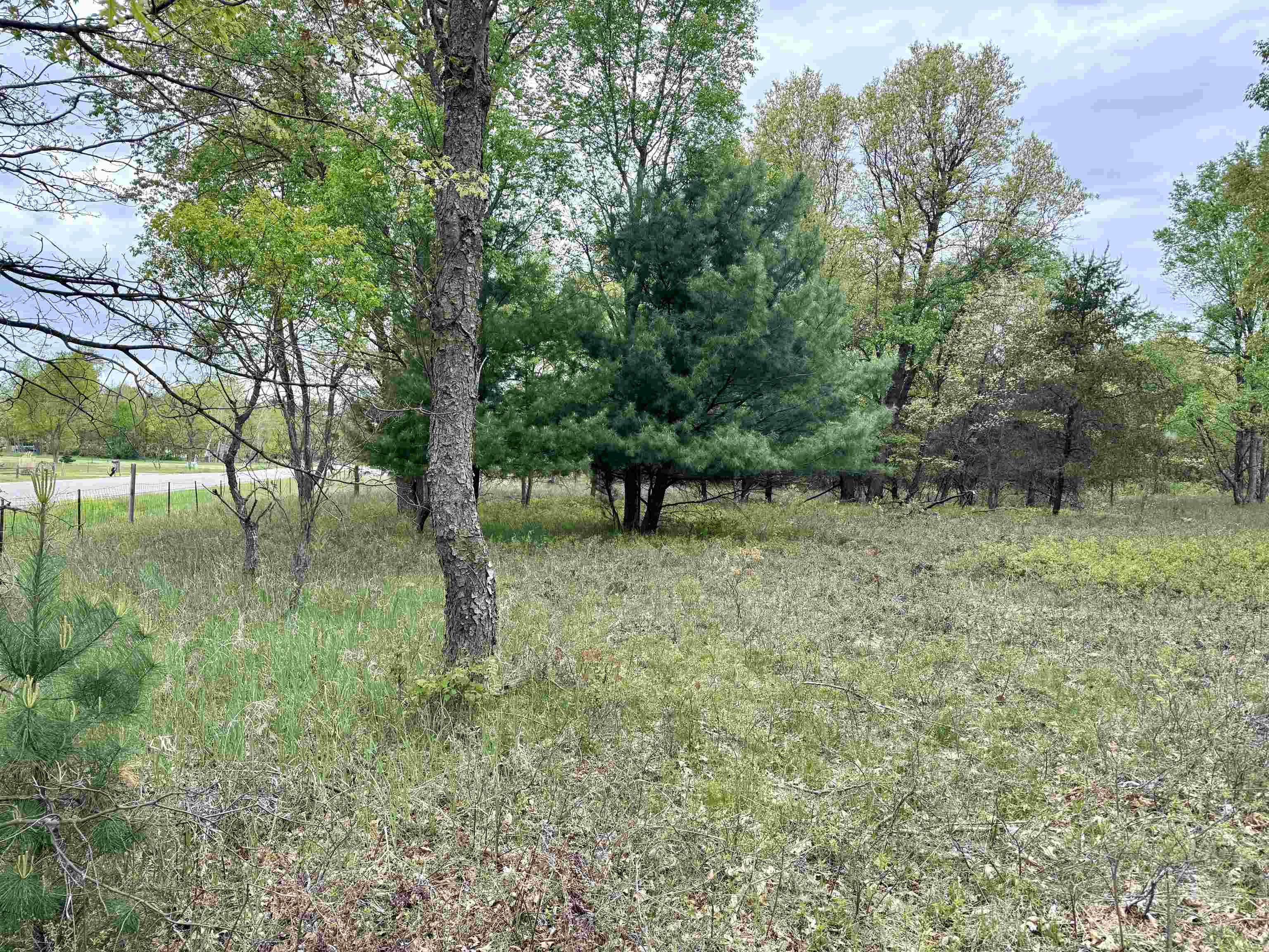 Parcel D West Rosted Road Lake City, MI 49651 - Photo 6 of 18