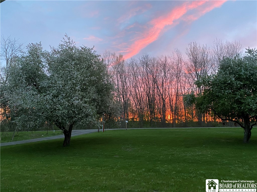 9709 Farel Road Pomfret, NY 14063 - Photo 46 of 49 FRONT YARD SUNRISE. GOOD MORNING!