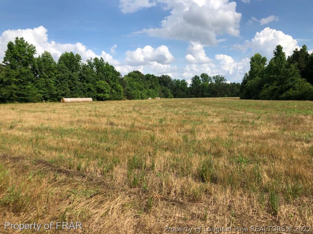 0 Gentry Road Erwin, NC 28339 - Photo 3 of 5 Gallery Image 3