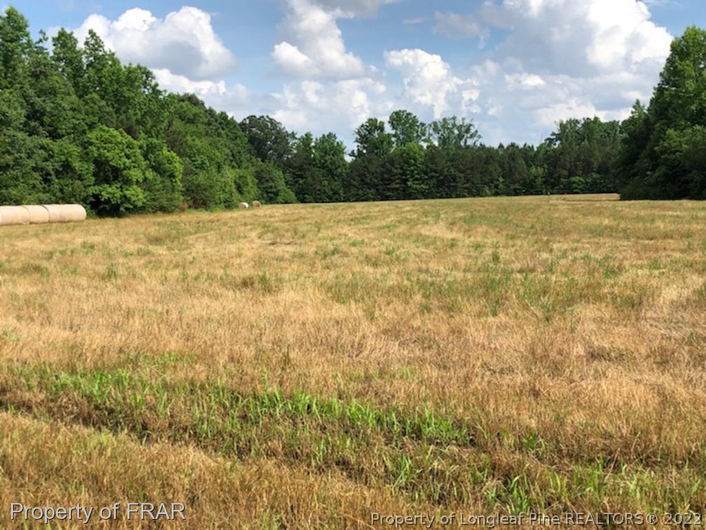 0 Gentry Road Erwin, NC 28339 - Photo 4 of 5 Gallery Image 4
