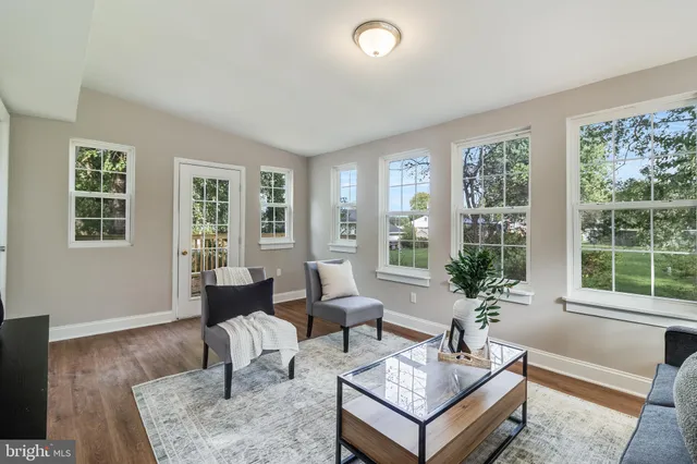 a living room with furniture and a potted plant next to a window