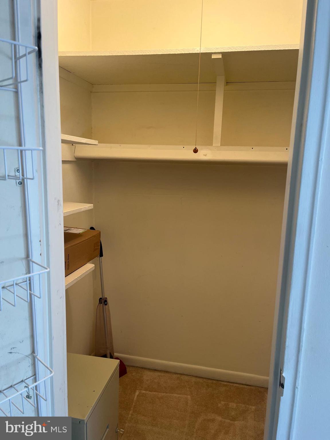 411 Stiles Avenue, Unit B1 Maple Shade, NJ 08052 - Photo 14 of 19 Walk-In Closet # 1