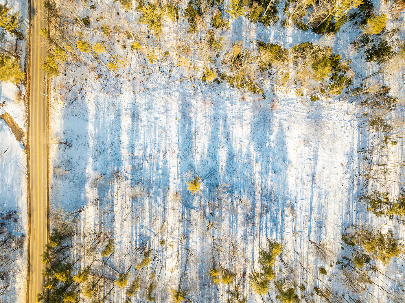 Lot #2 Belfast Road Lincolnville, ME 04849 - Photo 9 of 14 DJI_0742
