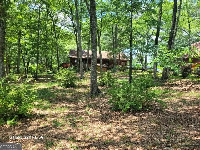 a backyard of a house with lots of green space