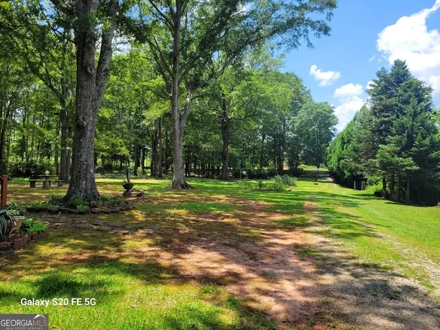 a view of a tree in a yard