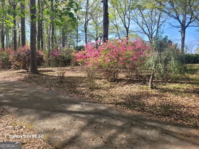 a view of a pathway with a yard