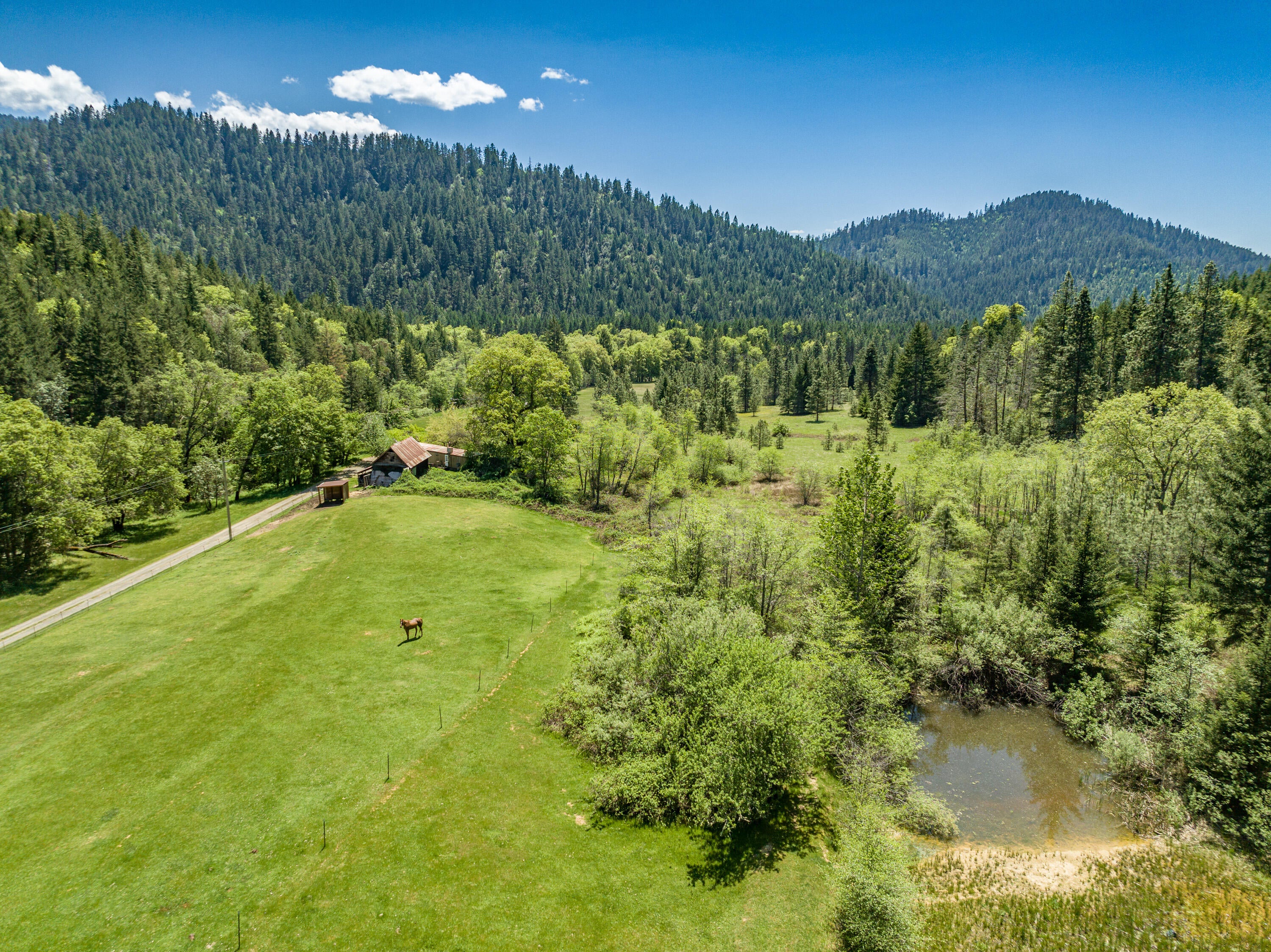2930 Crooks Creek Road Grants Pass, OR 97527 - Photo 42 of 58 Crowl Family Ranch (39)