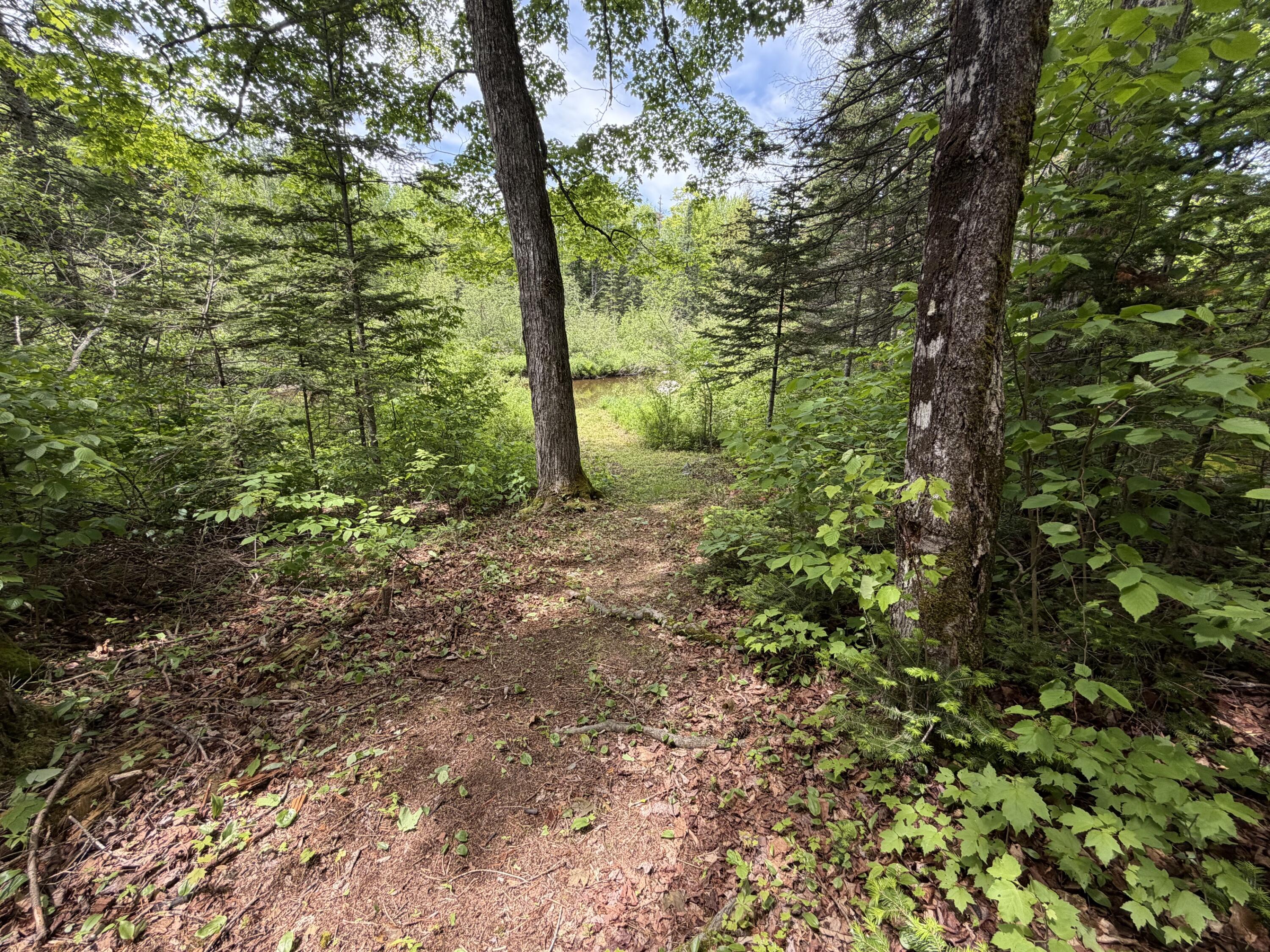 194 Meadow Road Hudson, ME 04449 - Photo 15 of 21 15