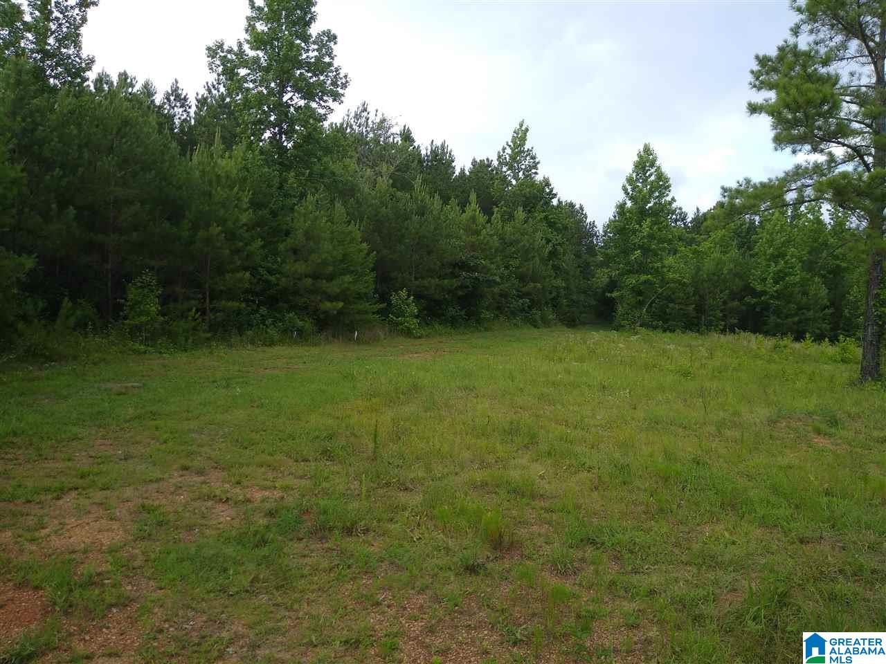 2700 Elvester Road, Unit 29 ACRES Warrior, AL 35180 - Photo 11 of 25 Gallery Image 11