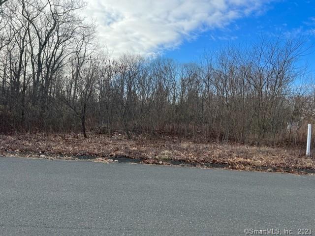99 Lofgren Road, Unit LOT 59 Avon, CT 06001 - Photo 1 of 1