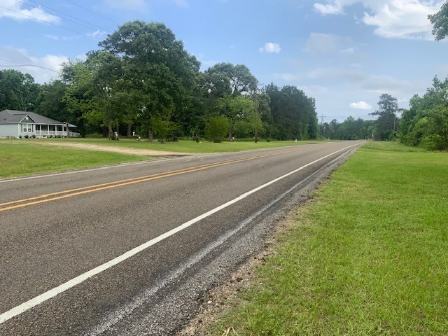 850 Slade Street Coldspring, TX 77331 - Photo 30 of 31 a view of a big yard with large trees