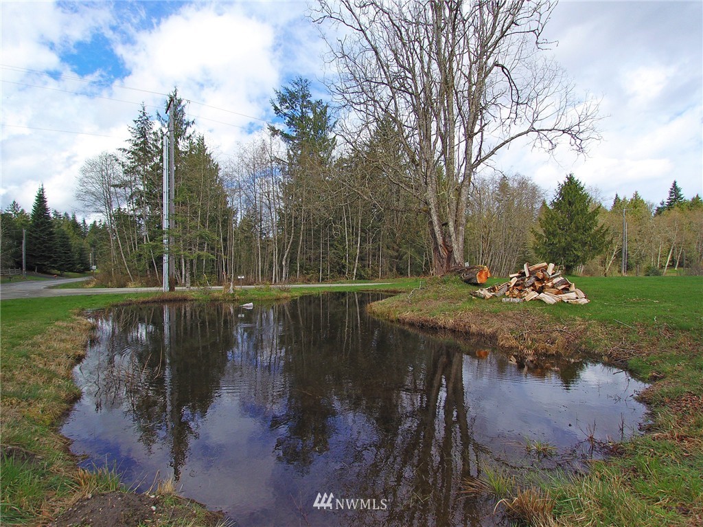 1553 Township Line Road Port Angeles, WA 98362 - Photo 24 of 25